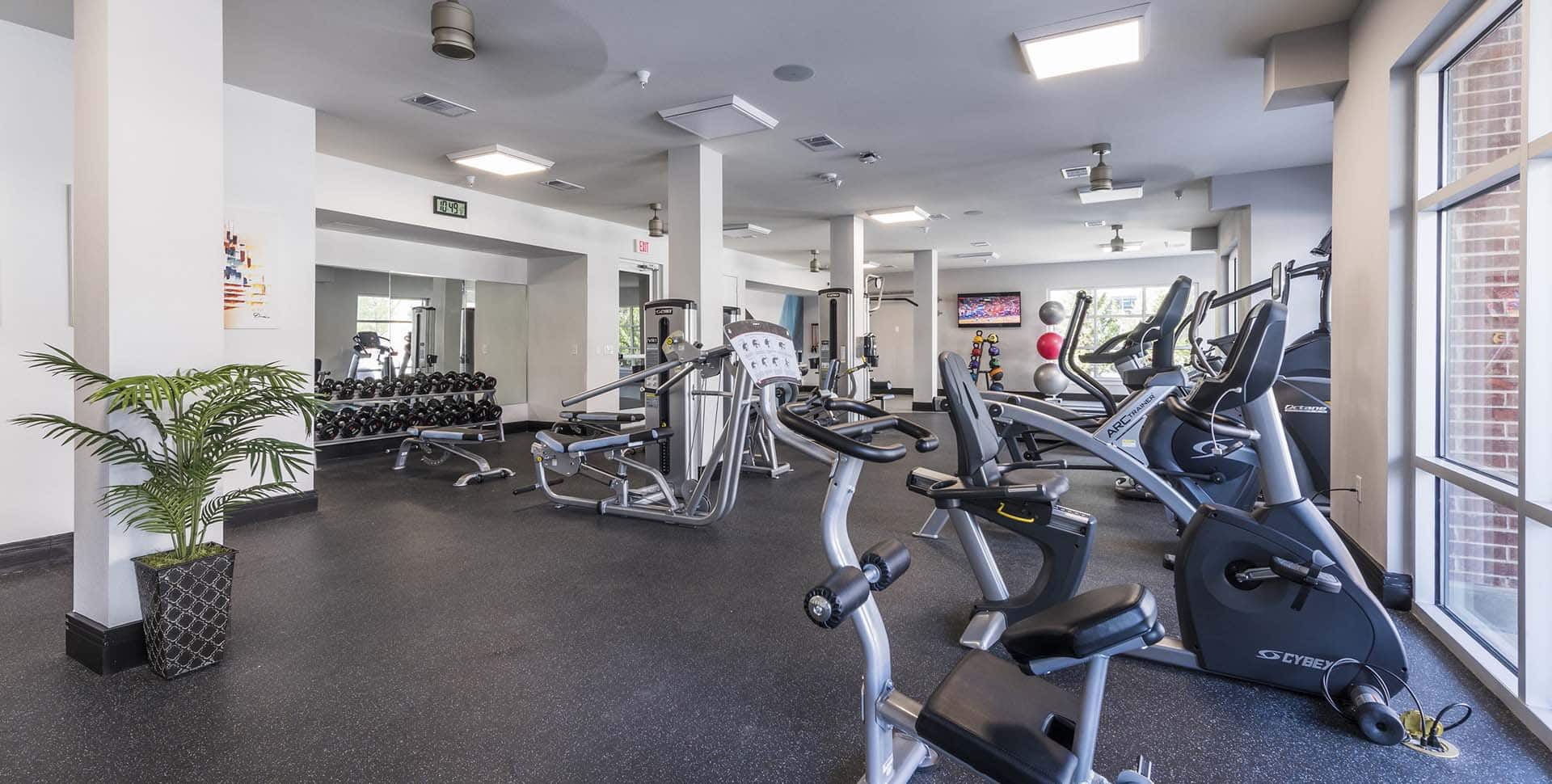 A modern gym with cardio machines, weightlifting equipment, free weights, mirrors, and a potted plant on a black rubber floor.