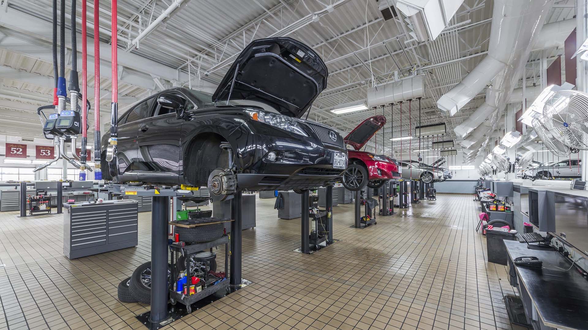 Several cars are elevated on hydraulic lifts in a clean, well-lit auto repair shop, with tools and equipment organized around each workstation.