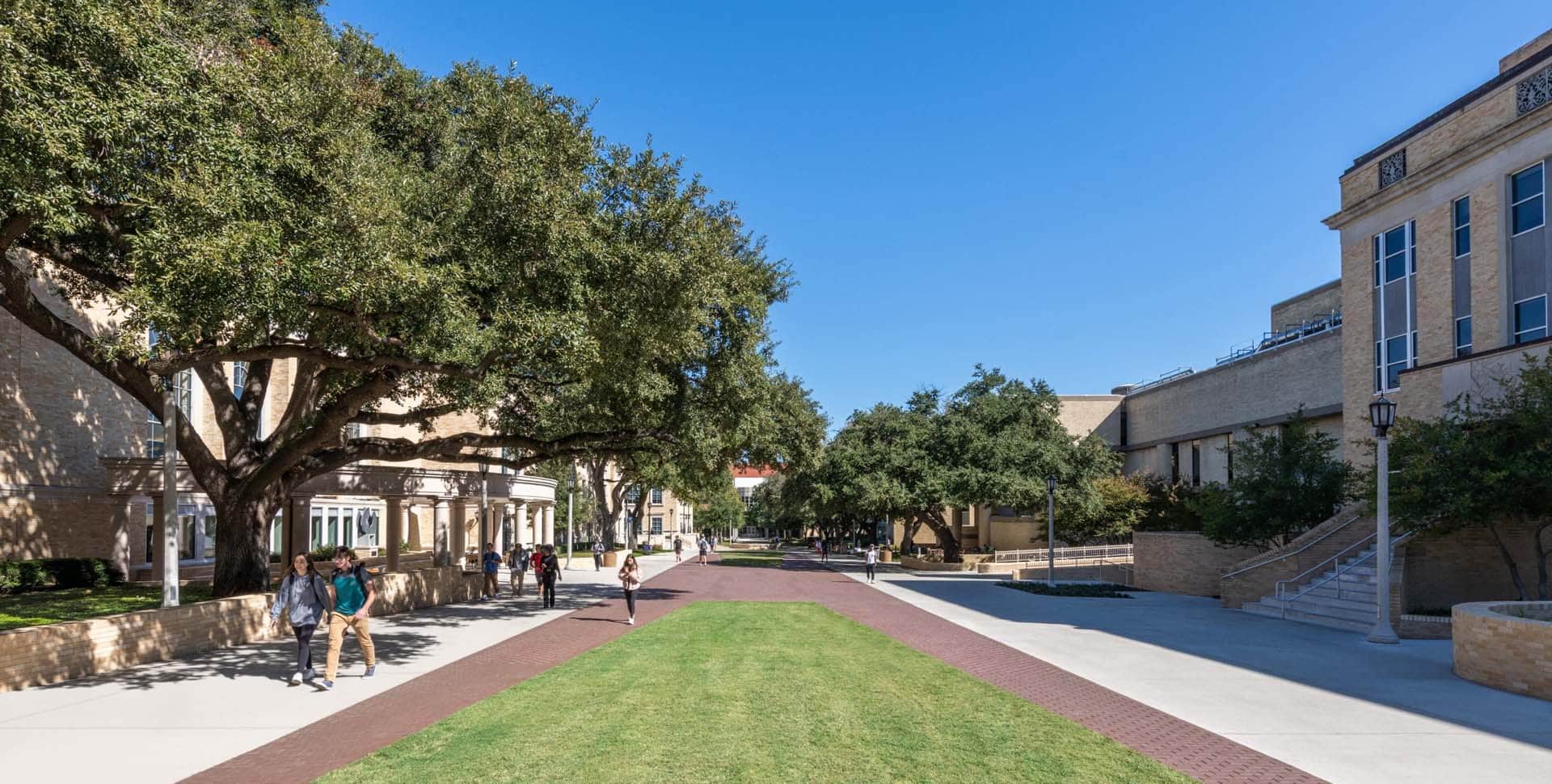 A wide walkway lined with trees and grass runs between academic buildings on a sunny day, with a few people walking along the path.