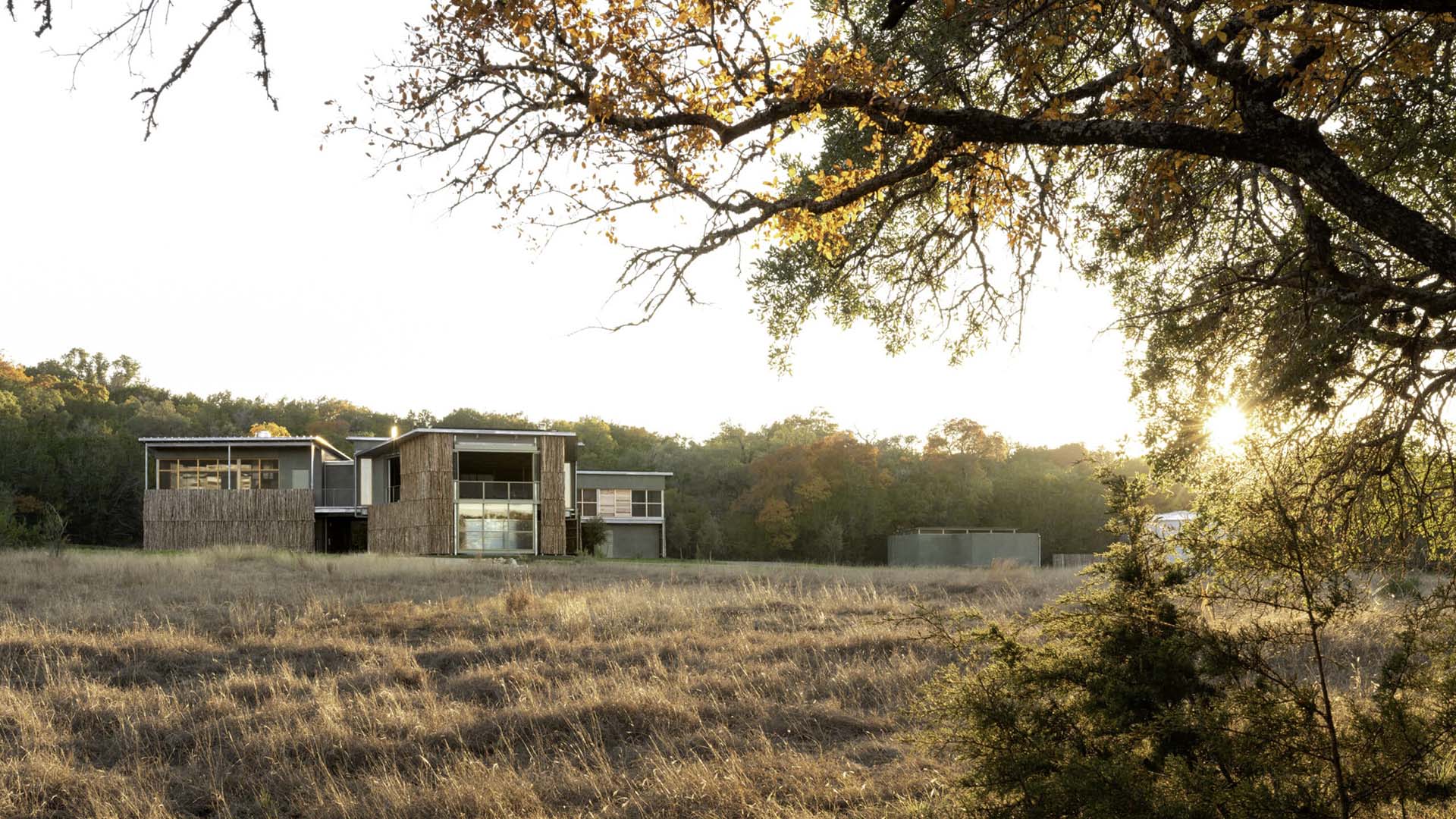 Modern house with large windows and natural wood exterior situated in a grassy field, surrounded by trees under a clear sky at sunset.